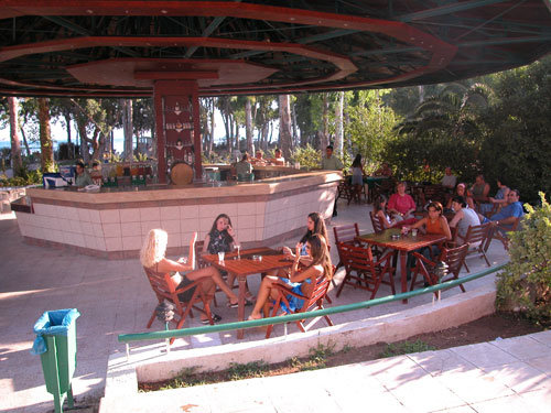 Club Okaliptus