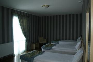 Отель Hotel Edelweiss Грузия, Гудаури, фото 9