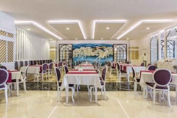 Отель Mary Palace Resort & Spa Турция, Чолаклы, фото 16