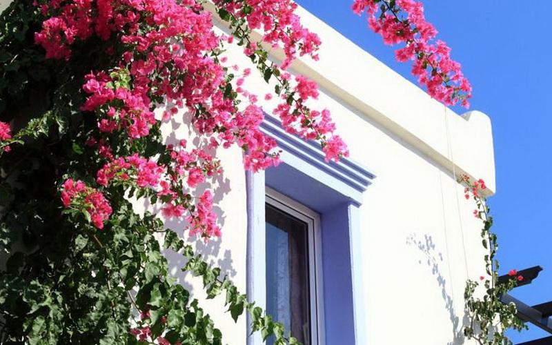 Club Paloma Apartments