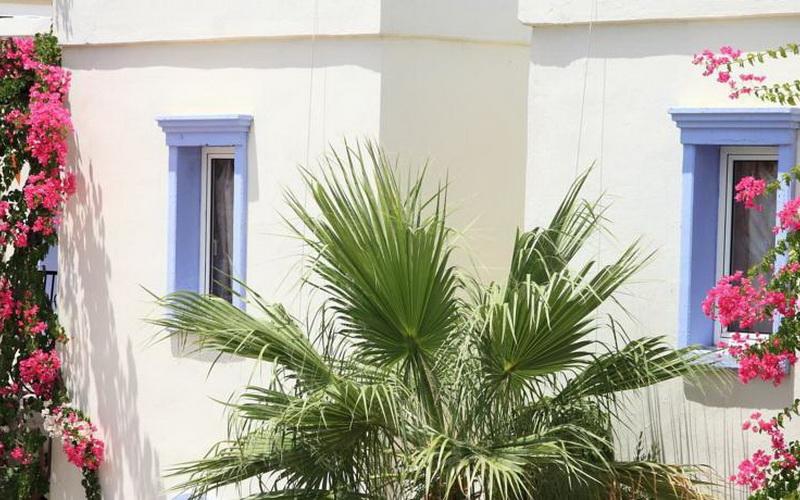 Club Paloma Apartments