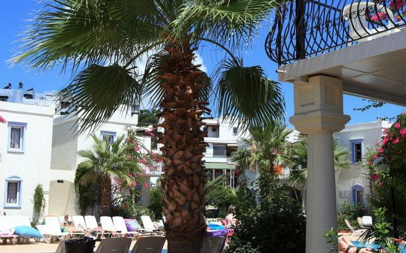 Club Paloma Apartments