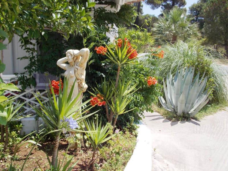 Skiathos Driades
