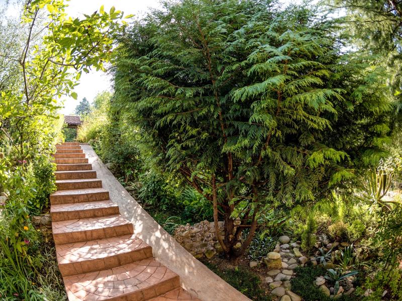 L`amore (Головинка)