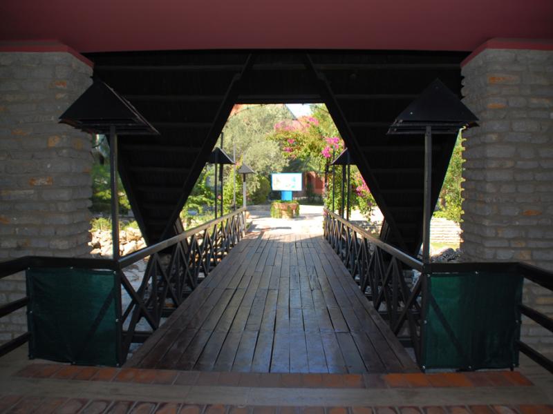 Patio Beach Club