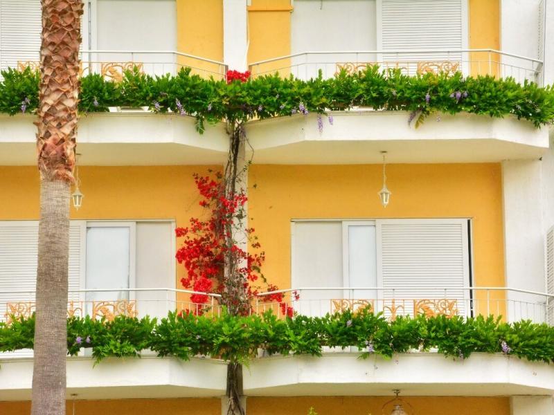 Paloma Blanca Hotel