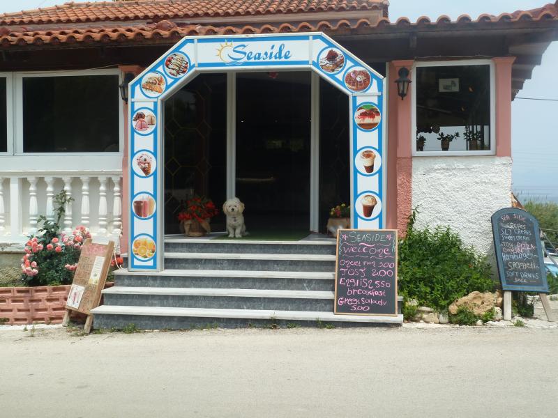 Amaryllis Studios