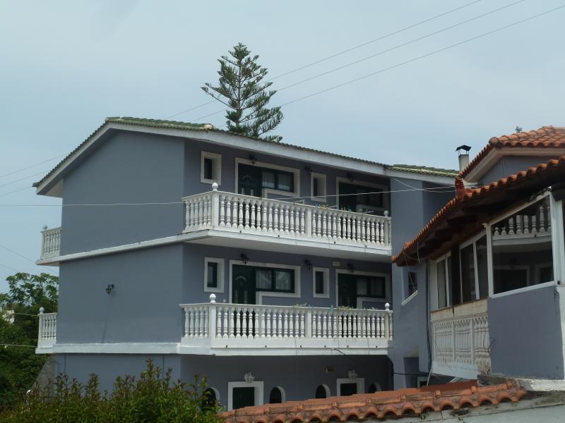 Amaryllis Studios
