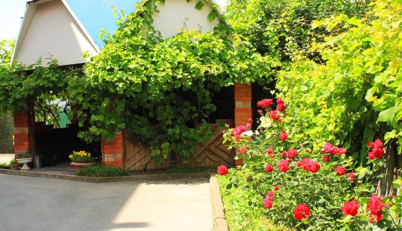 Магадан пансионат