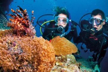 Отель Sanouva Hotel Вьетнам, Дананг, фото 5