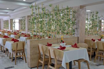 Отель Club Hotel Sidelya Турция, Чолаклы, фото 28