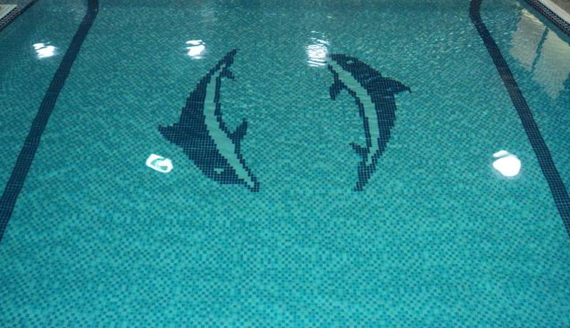 Al Shams Plaza Apartments