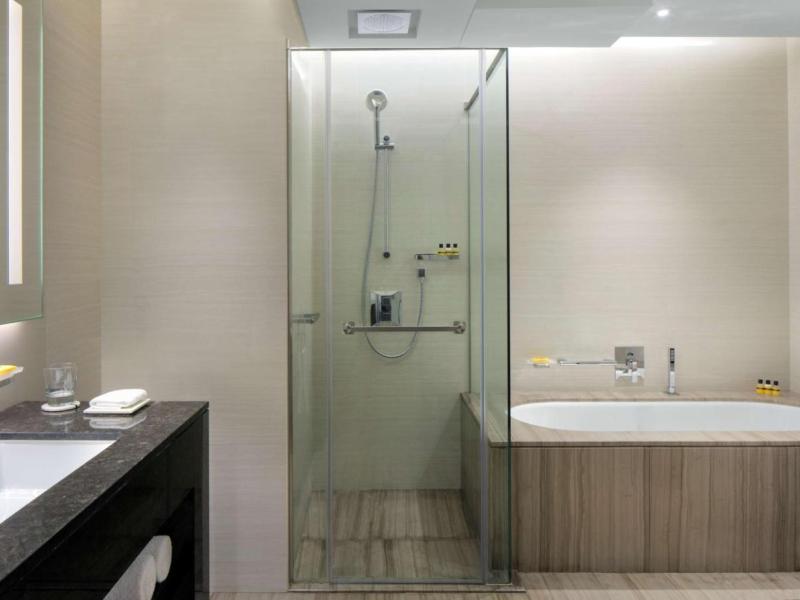 Hyatt Regency Dubai Creek Heights