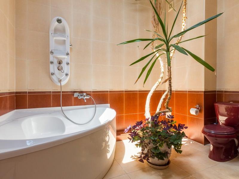 Villa Renessans