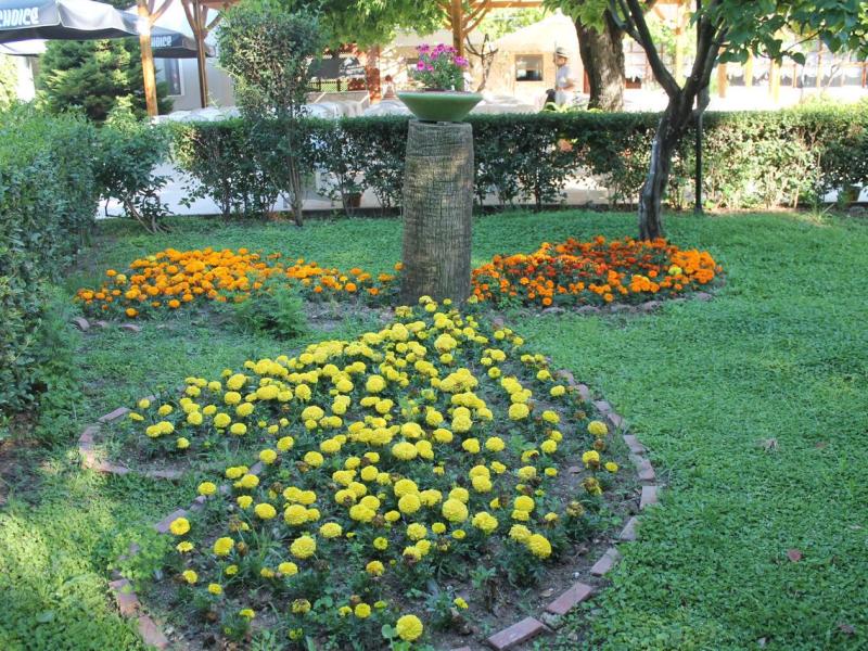 Club Turkuaz Garden