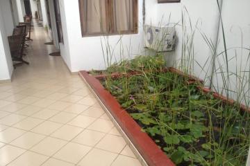 Отель Tandem Шри-Ланка, Хиккадува, фото 13