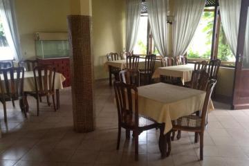 Отель Tandem Шри-Ланка, Хиккадува, фото 15