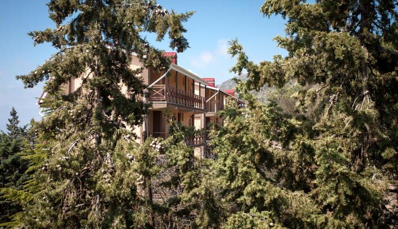 Эко Вилладж (Приветное)