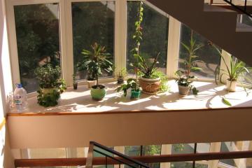 Отель София Россия, Хоста, фото 4