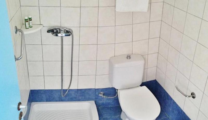 Pine Trees Art Hotel