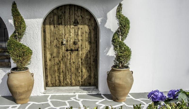 Pine Trees Art Hotel