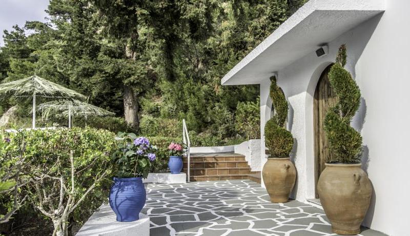 Pine Trees Art Hotel