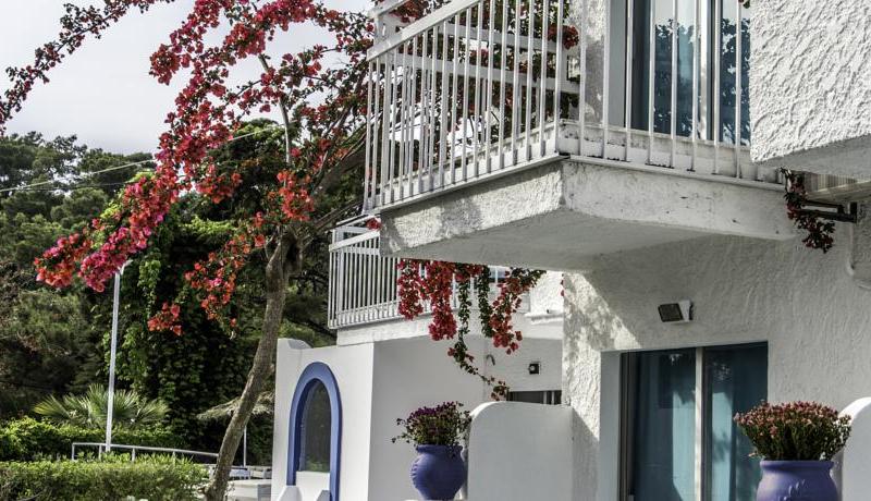 Pine Trees Art Hotel