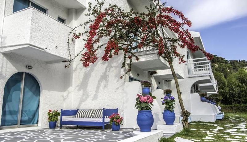 Pine Trees Art Hotel