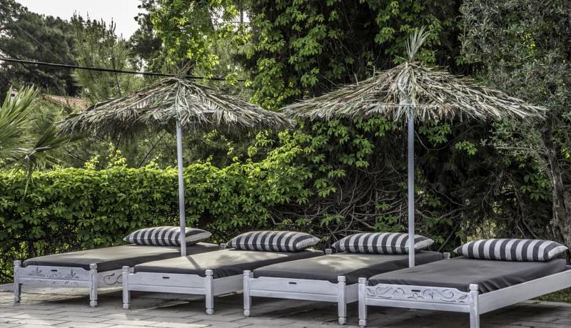 Pine Trees Art Hotel