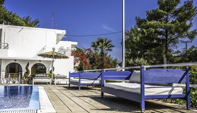 Pine Trees Art Hotel