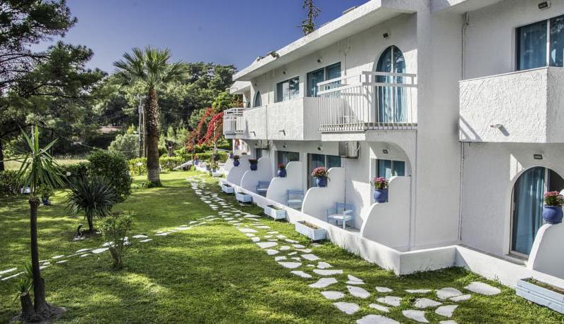 Pine Trees Art Hotel