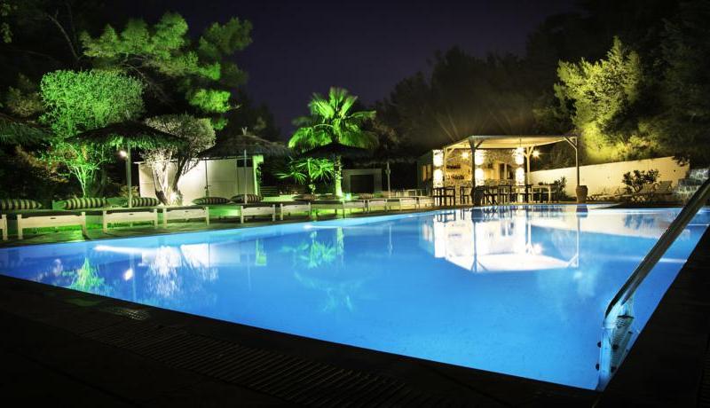 Pine Trees Art Hotel