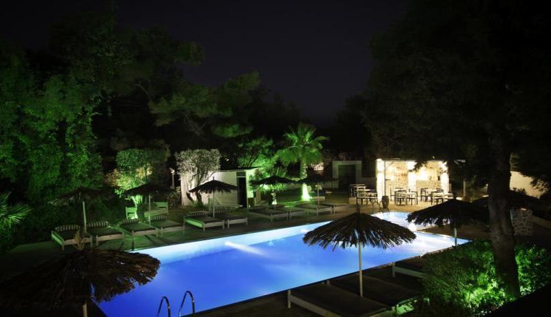 Pine Trees Art Hotel