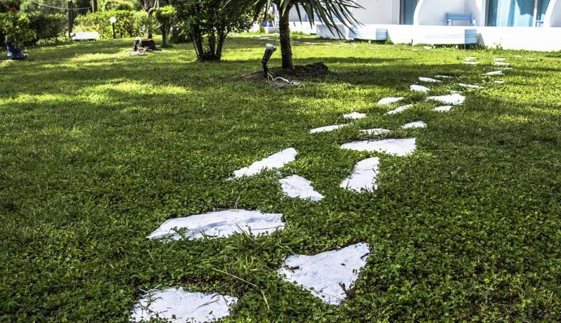 Pine Trees Art Hotel