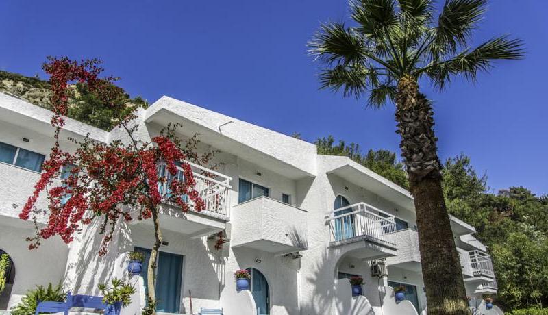 Pine Trees Art Hotel