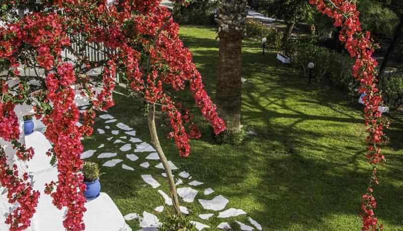 Pine Trees Art Hotel