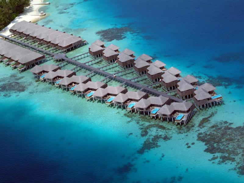 Coco Bodu Hithi