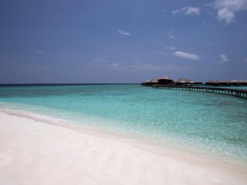 Coco Bodu Hithi