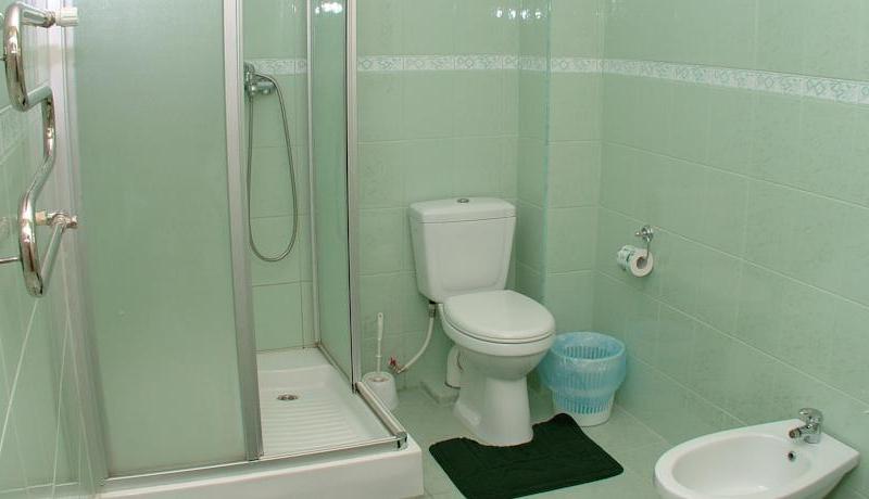 Пансионат Афалина