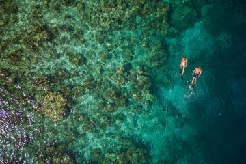 Отель NH Collection Maldives Havodda Resort Мальдивы, Гаафу Даалу Атолл, фото 40