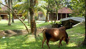 Отель Coconut Lagoon Индия, Керала, фото 34
