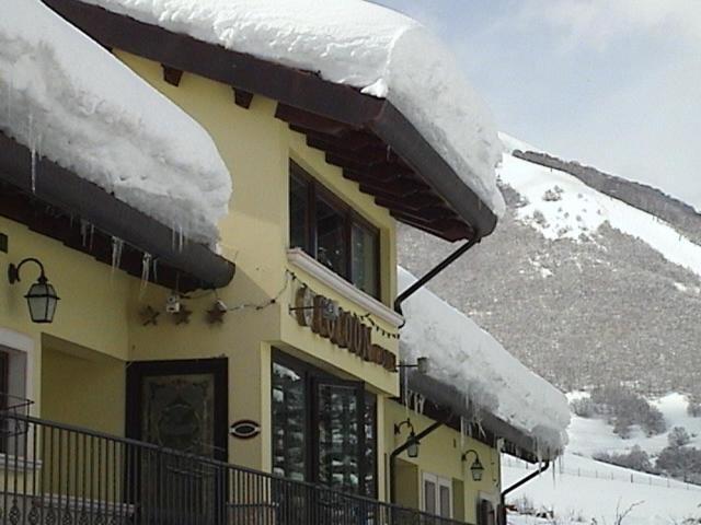 Hotel Cocoon
