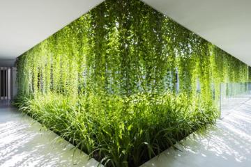 Отель Naman Retreat Вьетнам, Дананг, фото 10