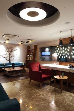 Отель Carina Park Suites Nisantasi Турция, Шишли, фото 14