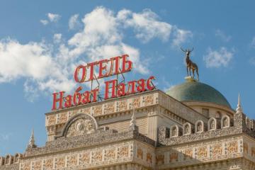 Отель Набат Палас (Воеводино) Россия, Московская область, фото 28