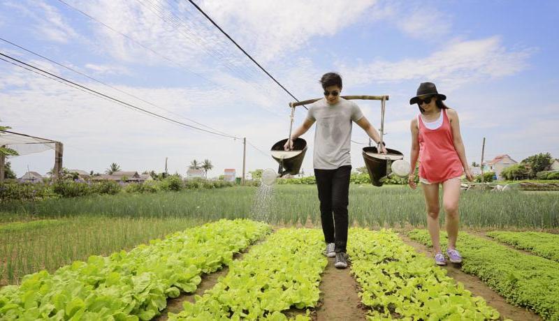 Royal Riverside Hoi An Hotel