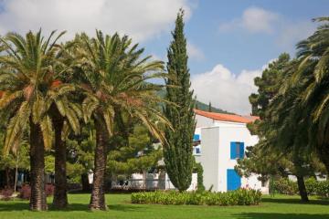 Отель Slovenska Plaza Resort 4* Черногория, Будва, фото 4