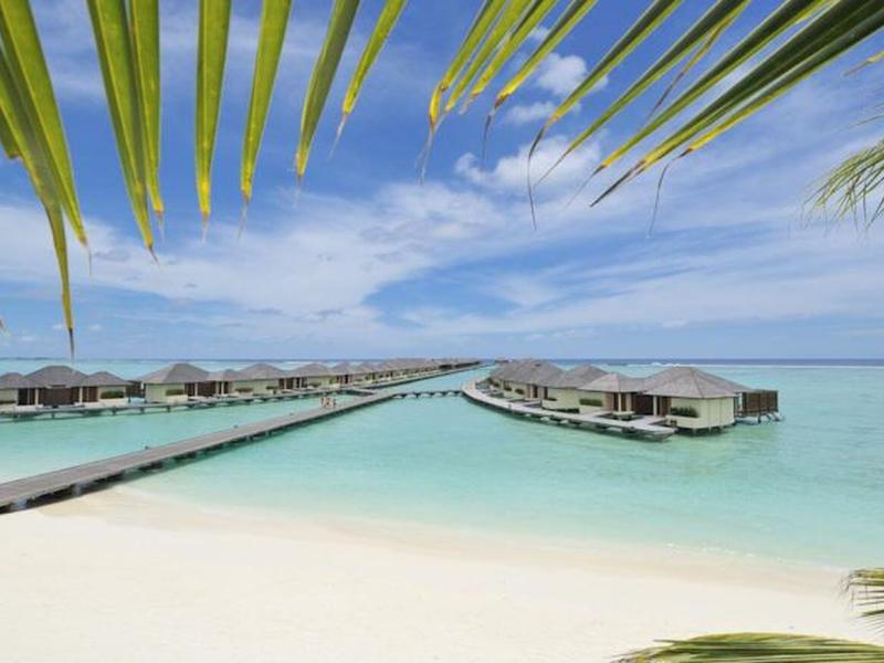 Paradise Island Resort Haven