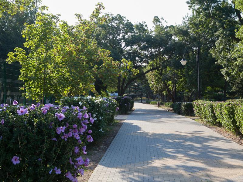 Кабардинка семейный комплекс