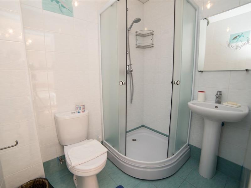 Зеленый Попугай